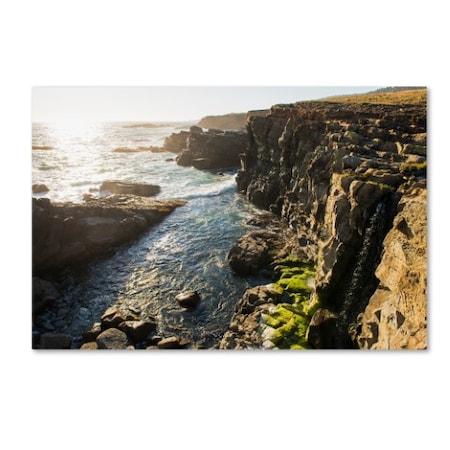 Lance Kuehne 'Wild Sonoma Coast' Canvas Art,22x32